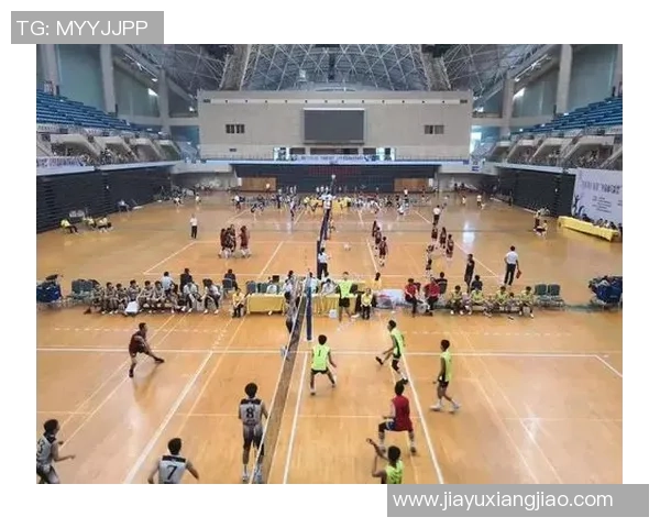 深圳排球队创历史新高排球速度排名引发热议